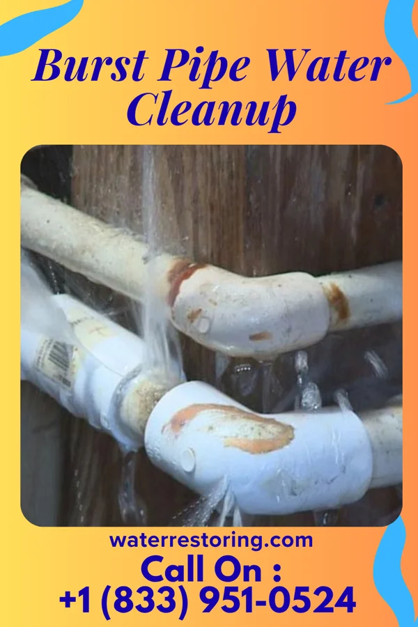 Burst Pipe Water Cleanup in Brownville, NJ