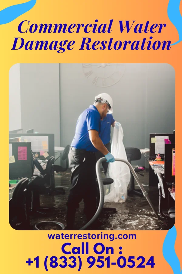 Commercial Water Damage Restoration in Brownville, NJ