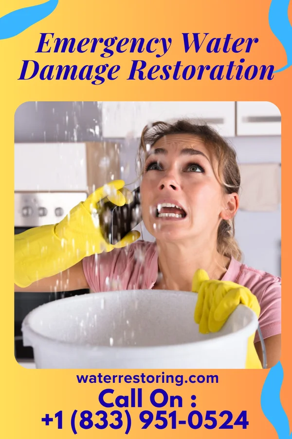 Emergency Water Damage Restoration in Brownville, NJ