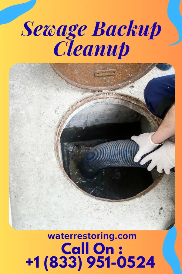 Sewage Backup Cleanup in Brownville, NJ