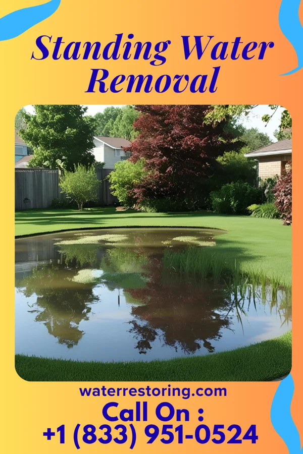 Standing Water Removal in Brownville, NJ